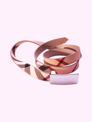 Accessory for belt